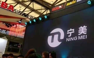 巨人的稳定性，深入分析巨人主机在技术与服务上的可靠性