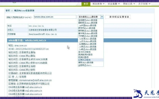 52站长域名解析找不到域名解析入口，全面指南与解决方案