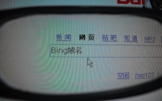 为什么搜中文域名找不到网站