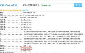 打造专业淘客站，从域名申请到备案的全方位指南
