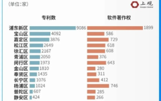 上海数据量—城市智慧的血脉