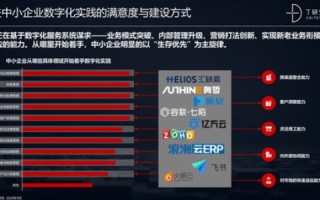中国网格官网，解锁数字化转型新纪元