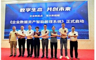 聚龙科技，卓越解决方案引领企业数字化转型新篇章