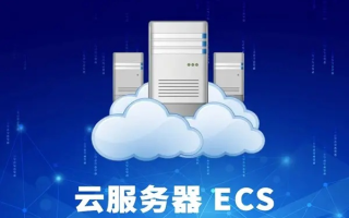 云服务器ECS，SaaS层服务的基石