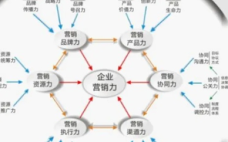 我与我要赢网络的争霸之路，一场数字时代的营销棋局