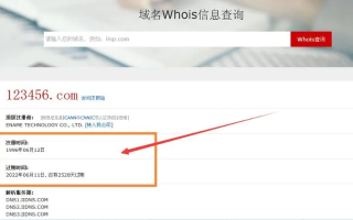 新网域名优惠活动及解析服务详解