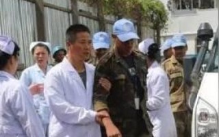 探索派飞网络的实践与体验，从用户体验到技术应用的深度剖析