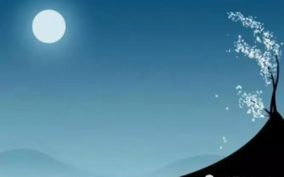 江萍月下的诗意空间，探寻生命中的静谧与美