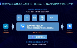 蓝队云，探索数字化时代的优质云服务商