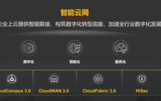 云志网络，崛起的数字生态先锋