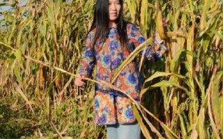 天达云平台的稳定性探究，数据、用户体验与未来展望