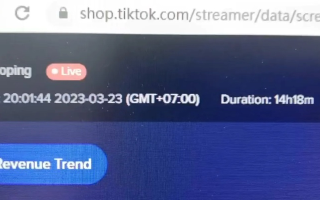 求新TK域名A记录教程，打造个性化网站的第一步