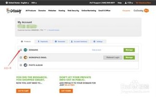 在Godaddy（狗爹）注册域名，安全性、实名认证及更多考量