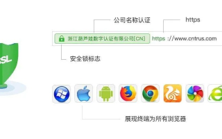 天威诚信SSL证书，多域名支持，为您的网络安全护航