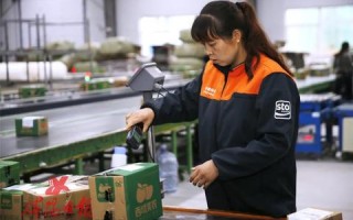 西部互联评测，打造高效、安全的互联网新生态