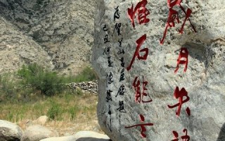 原始人与网络的奇妙交织，探索网络时代的原始情感与连接