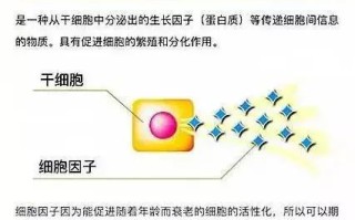 冰域信息稳定性探析，自然环境与人为因素影响的探讨