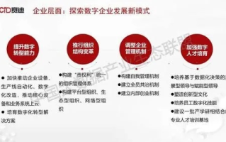 红东网络，重塑数字化时代的企业管理格局