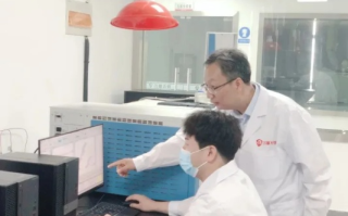 网硕互联，稳定性、技术与服务的综合考察