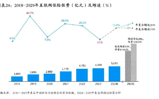 中国在线互联网络的稳定性，现状、挑战与未来展望