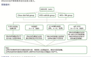 评测与解析，17CE—高效测序技术引领生物科研新纪元
