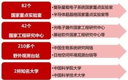 免费国内空间，顶级域名的高效利用与选择指南