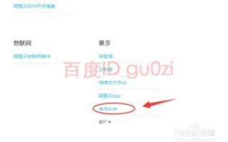 万网二级域名限制详解，影响、规避策略及未来展望