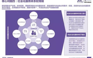 全面解析龙彩互联平台的稳定性与可靠性
