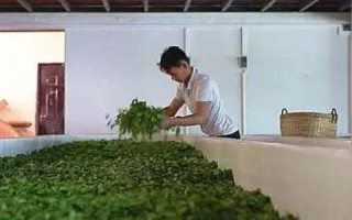 云南数据港，探索数字时代的智慧之路
