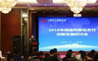中国网络科技的崛起与变革，从普及到创新的应用实例