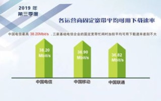 速网中国，构建高效物流网络的先锋力量