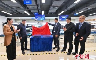 二级域名如何升级到顶级域名，全面指南与策略
