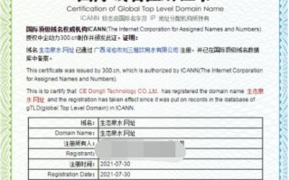 免费一级域名转向，解锁无限可能的网络之旅
