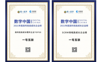 第一中国官网—塑造品牌徽章，开创数字新篇章