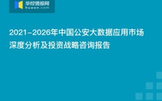 鸿阳网络评测，深度剖析互联网新时代的机遇与挑战