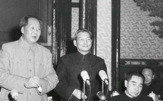 大数据视角下的群众参与，洞察、挑战与未来趋势