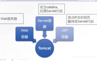 用于下载的网站服务器租用，全面解析与实战指南