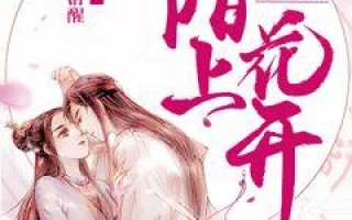 枫韵云，穿越时空的古韵与现代的对话