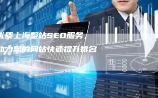 上海网域网，打造卓越网络服务，引领智能数字化的明天