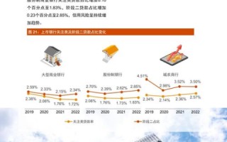 科技探索家，元元科技的奇妙应用与未来展望