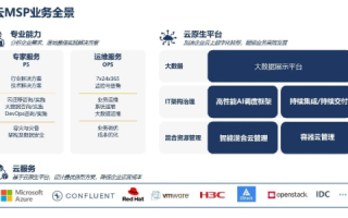 蓝队云使用心得体验与深度解析