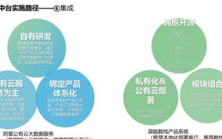 探索茶白数据，一款数据服务平台的用户体验与实效解析
