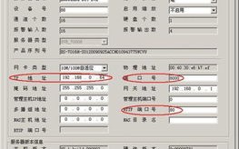 用域名如何设置远程监控