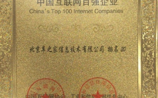 中国顶网—探寻互联网权威平台的精髓