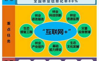 山林人网络，连接自然与智慧的数字桥梁