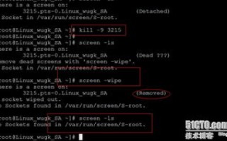 SLHOST使用经验分享，解锁高效运维的新篇章