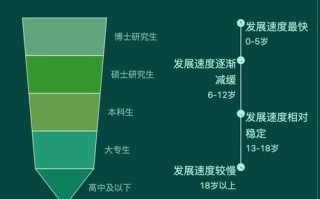 数据可视化，如何有效利用泡泡数据提升决策效果