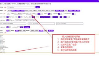什么叫IP地址？什么叫域名？