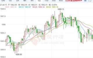 全面解析财旺521数据中心评测，性能、稳定性与未来的革新之道