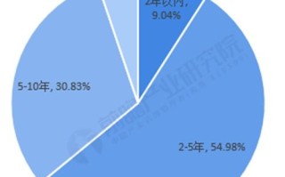 爱萍数据，稳定性分析与市场趋势观察